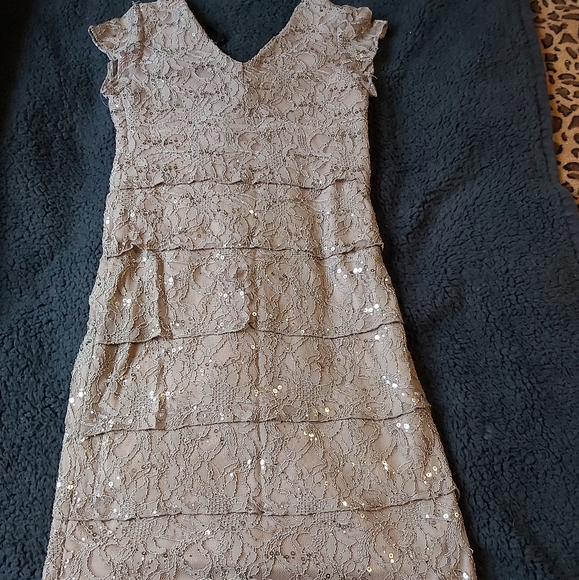EUC Lace and Sequin Dress - Picture 4 of 9